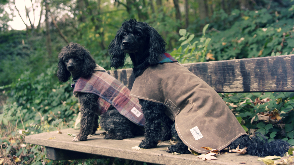 Premium dog coats