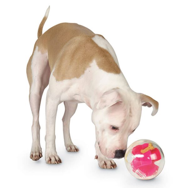 Swag & Wag A Maze Ball Dog Puzzle Toy