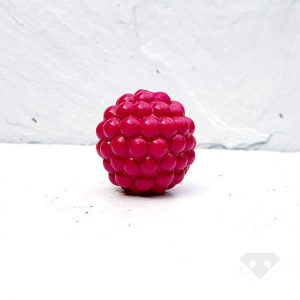 Fruit & Veg - Raspberry Dog Toy